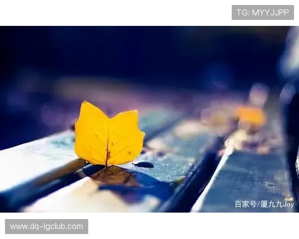 对足球训练感到厌倦的心情与思考，我是否还能坚持下去