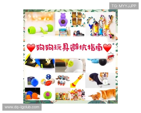 耐咬胶皮足球狗玩具助力犬只快乐成长与牙齿健康的完美选择